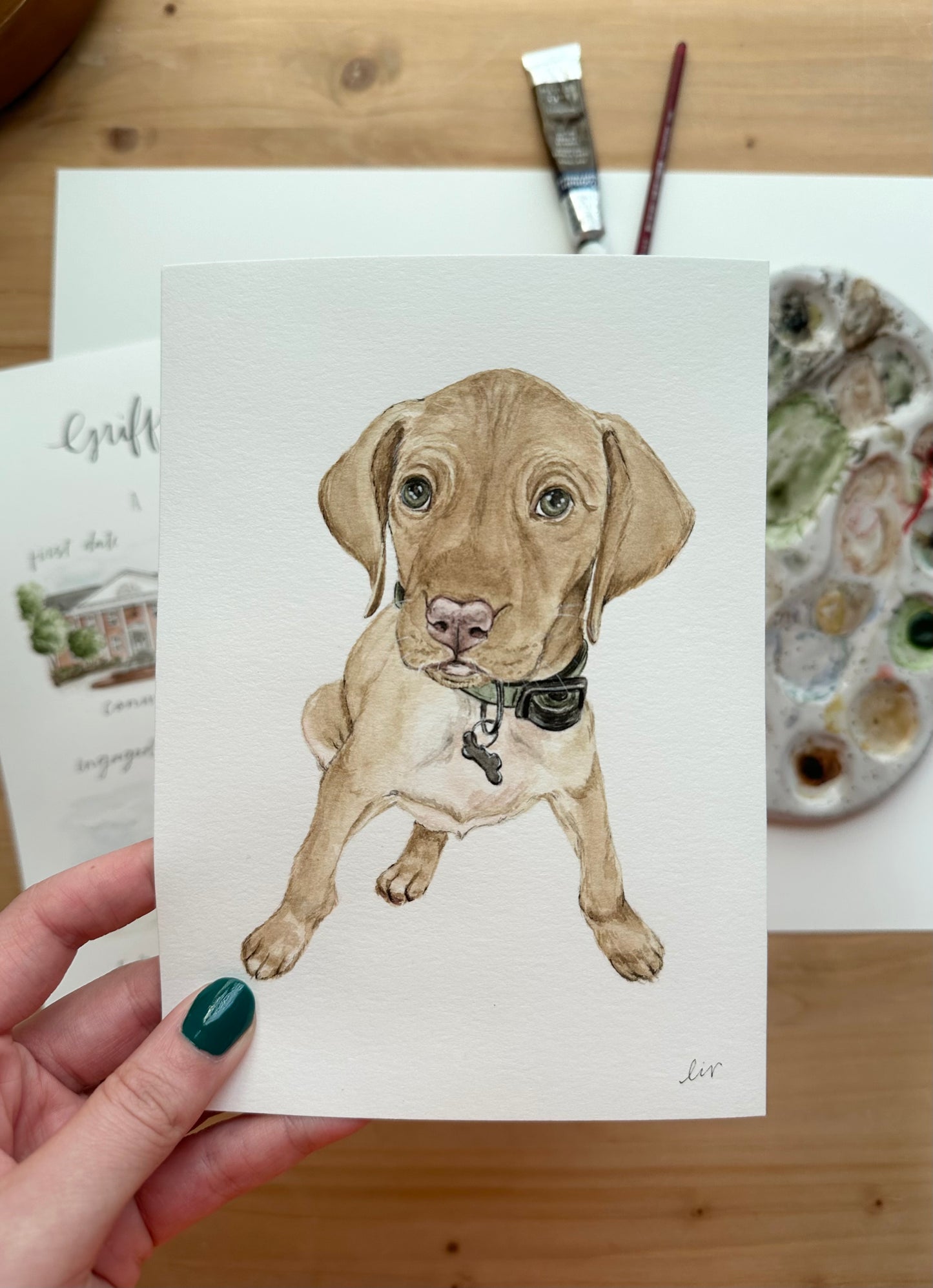 Watercolor Pet Portraits