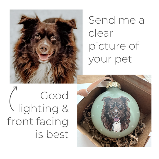 Custom Pet Portrait Ornaments