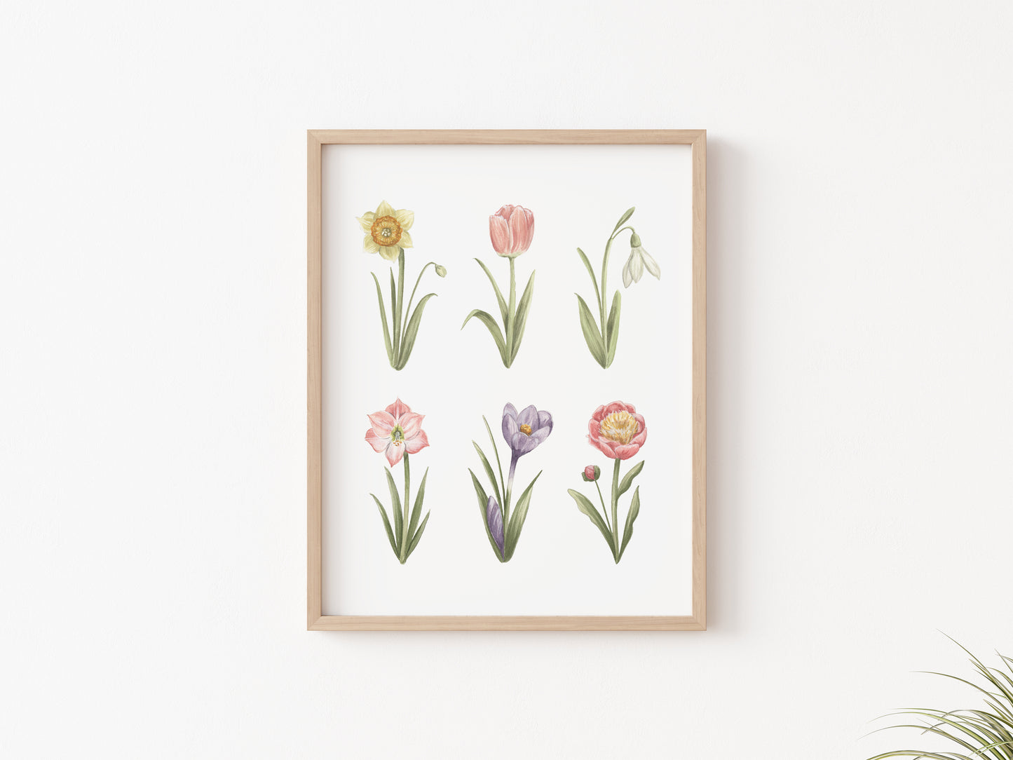 Spring Flowers Art Print