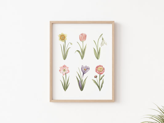 Spring Flowers Art Print
