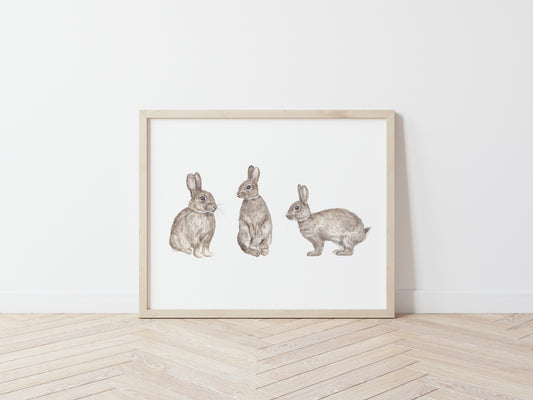 Bunny Burrow Art Print