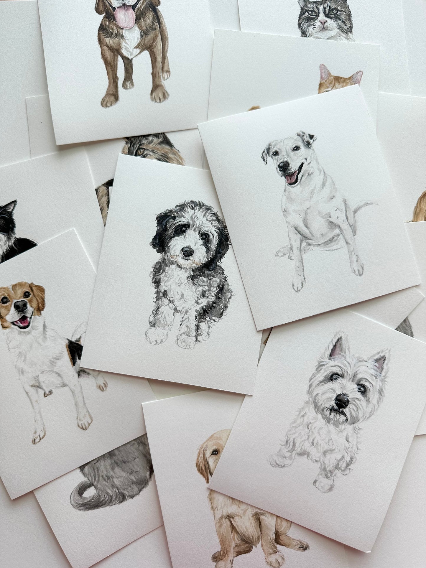 Mini Pet Portraits