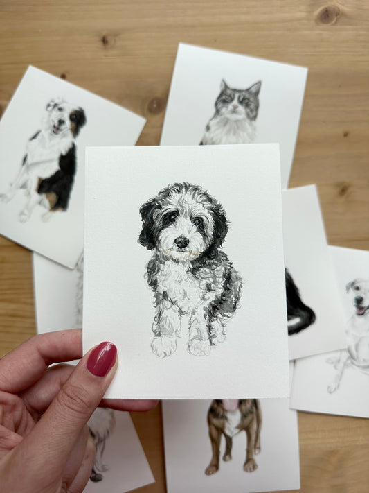 Mini Pet Portraits