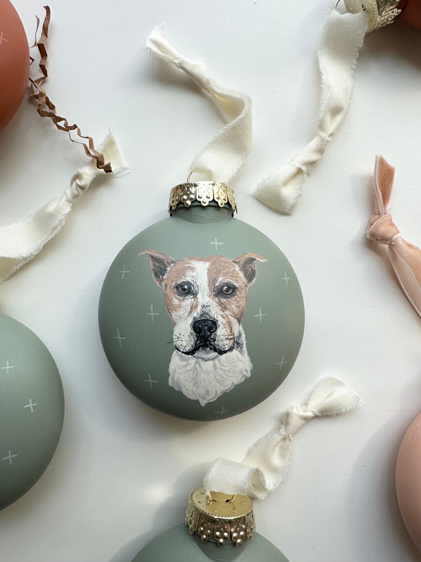 Custom Pet Portrait Ornaments
