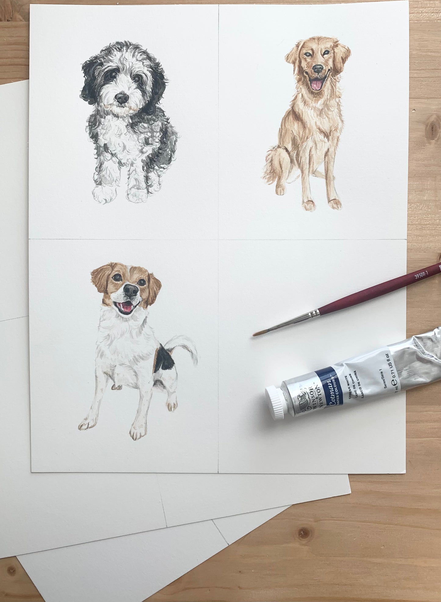 Mini Pet Portraits