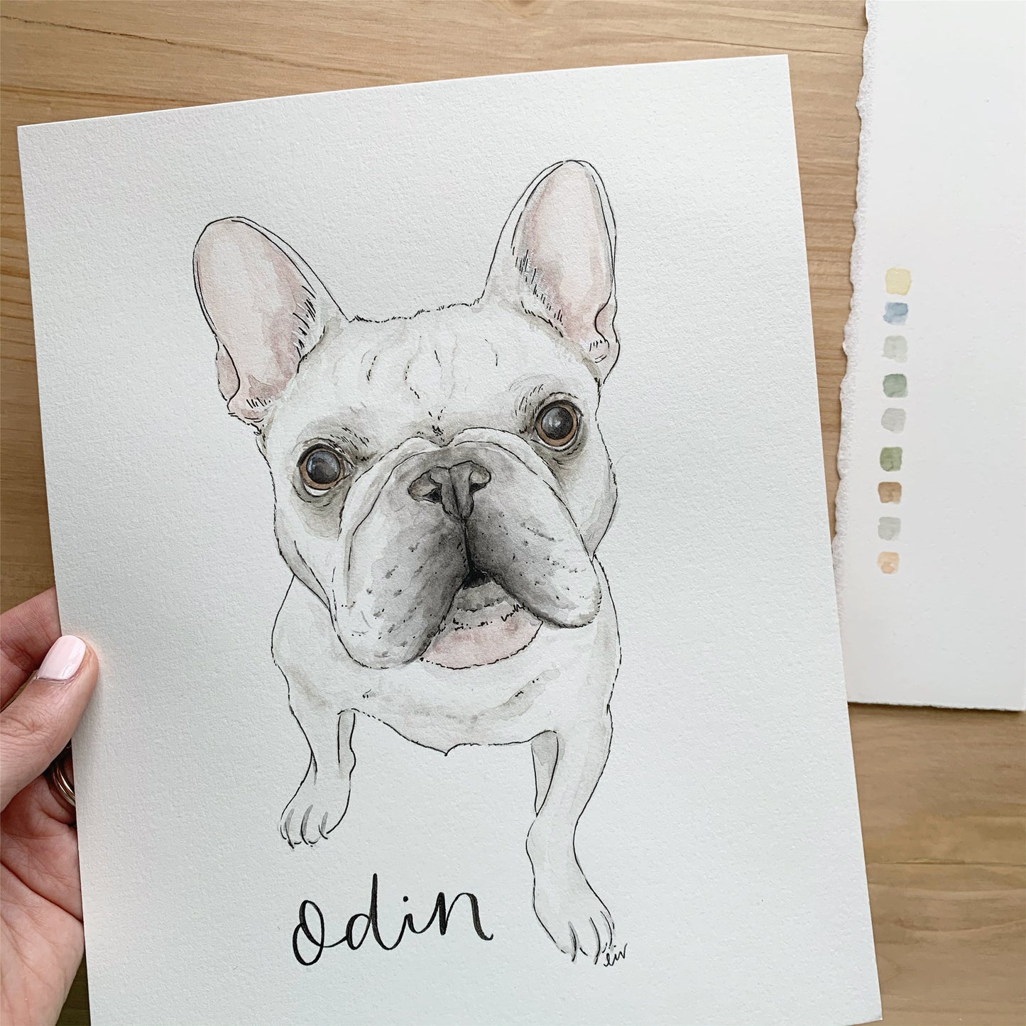 Watercolor Pet Portraits