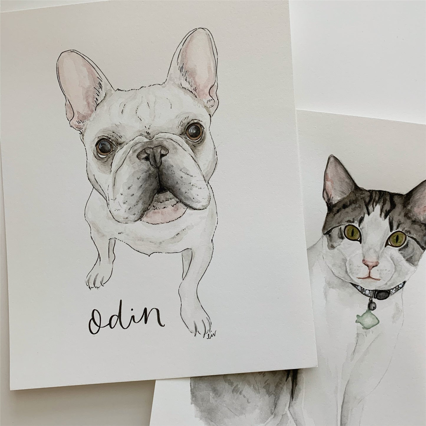 Watercolor Pet Portraits